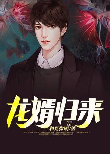 龙婿归来